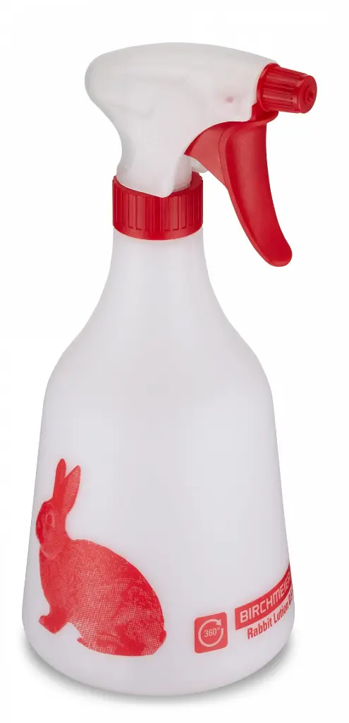 Rabbit.webp