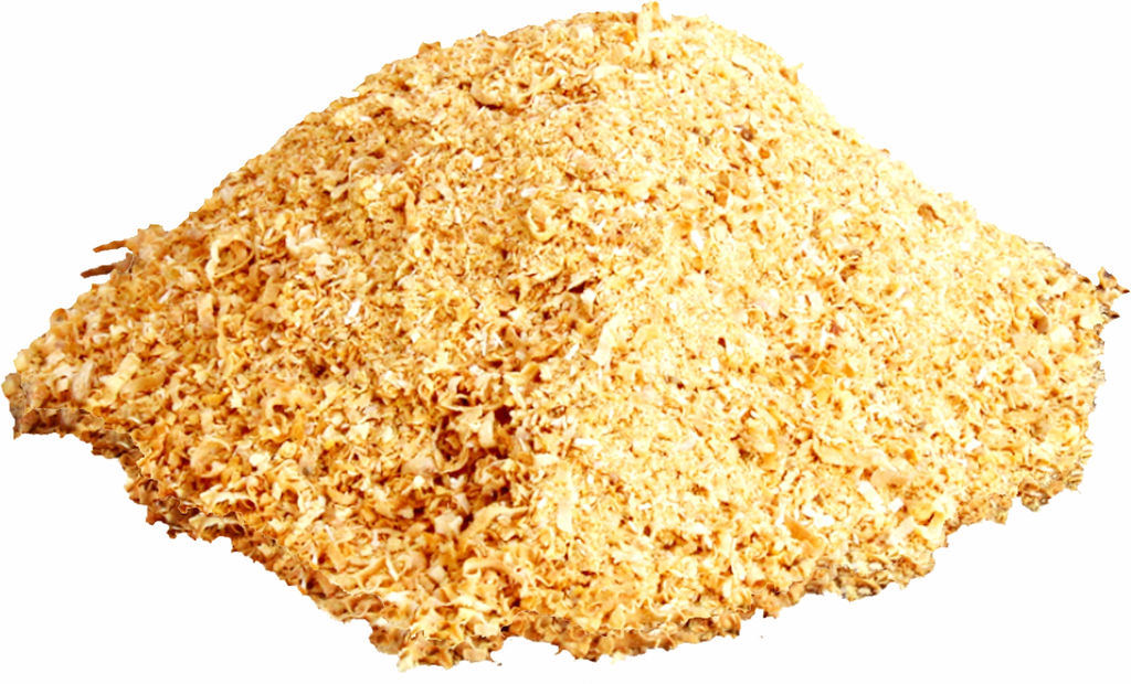 94025 Buche Kopie.webp