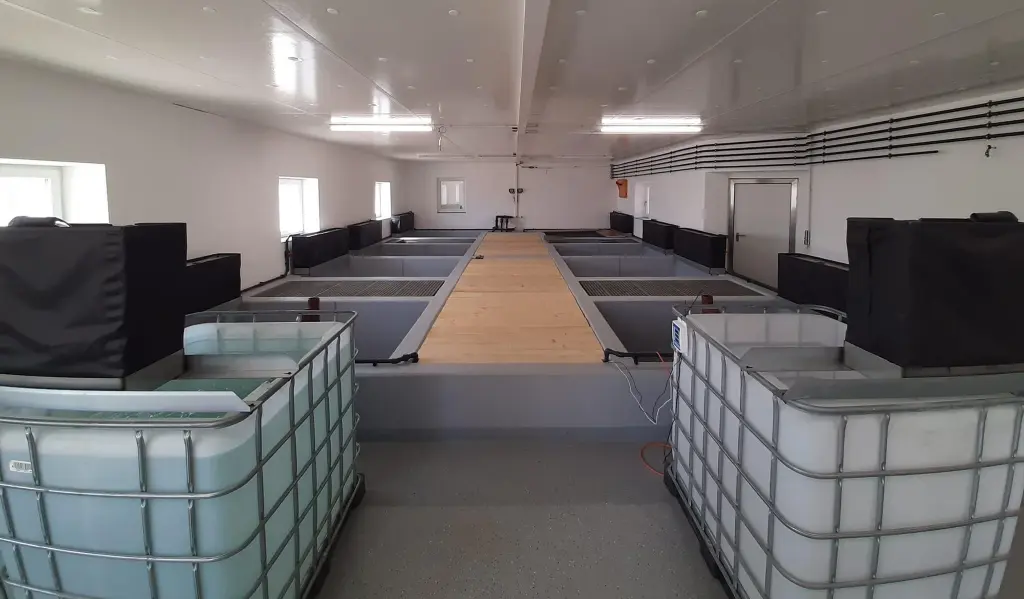 AbHof Witzlinger.webp