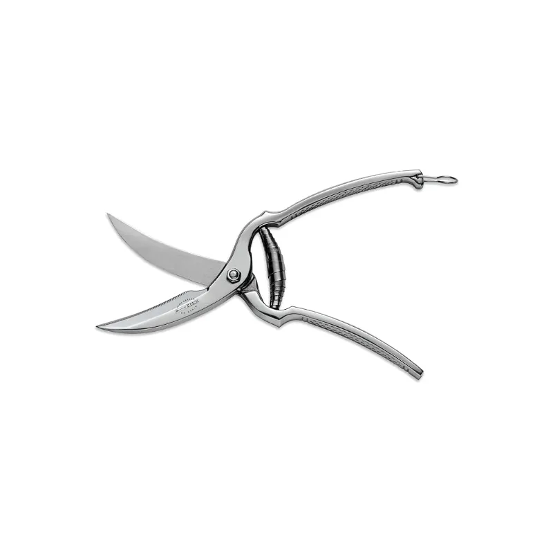 Untitled Project - 2026-01-27T140612.996.webp