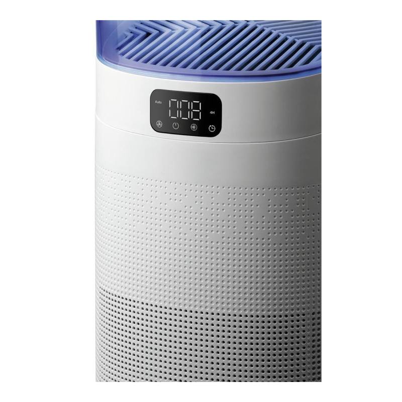 Untitled Project-283 Kopie 2.webp