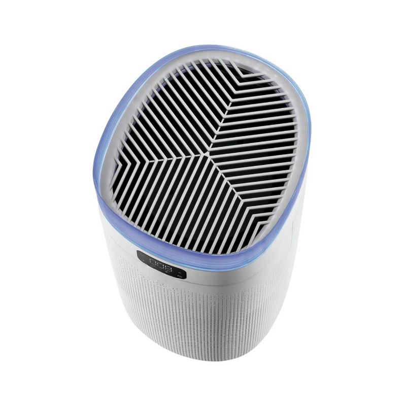 Untitled Project-283 Kopie.webp