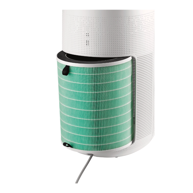 Untitled Project-284.webp