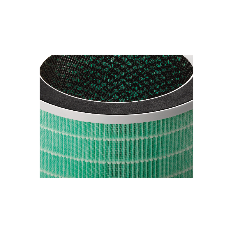 Untitled Project-283 Kopie.webp