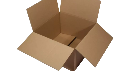 Verpackungskarton