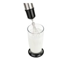 Stabmixer Set