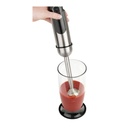 Stabmixer Set