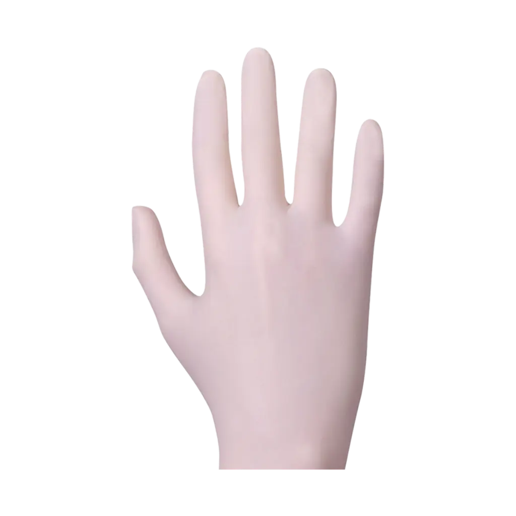 2.webp
