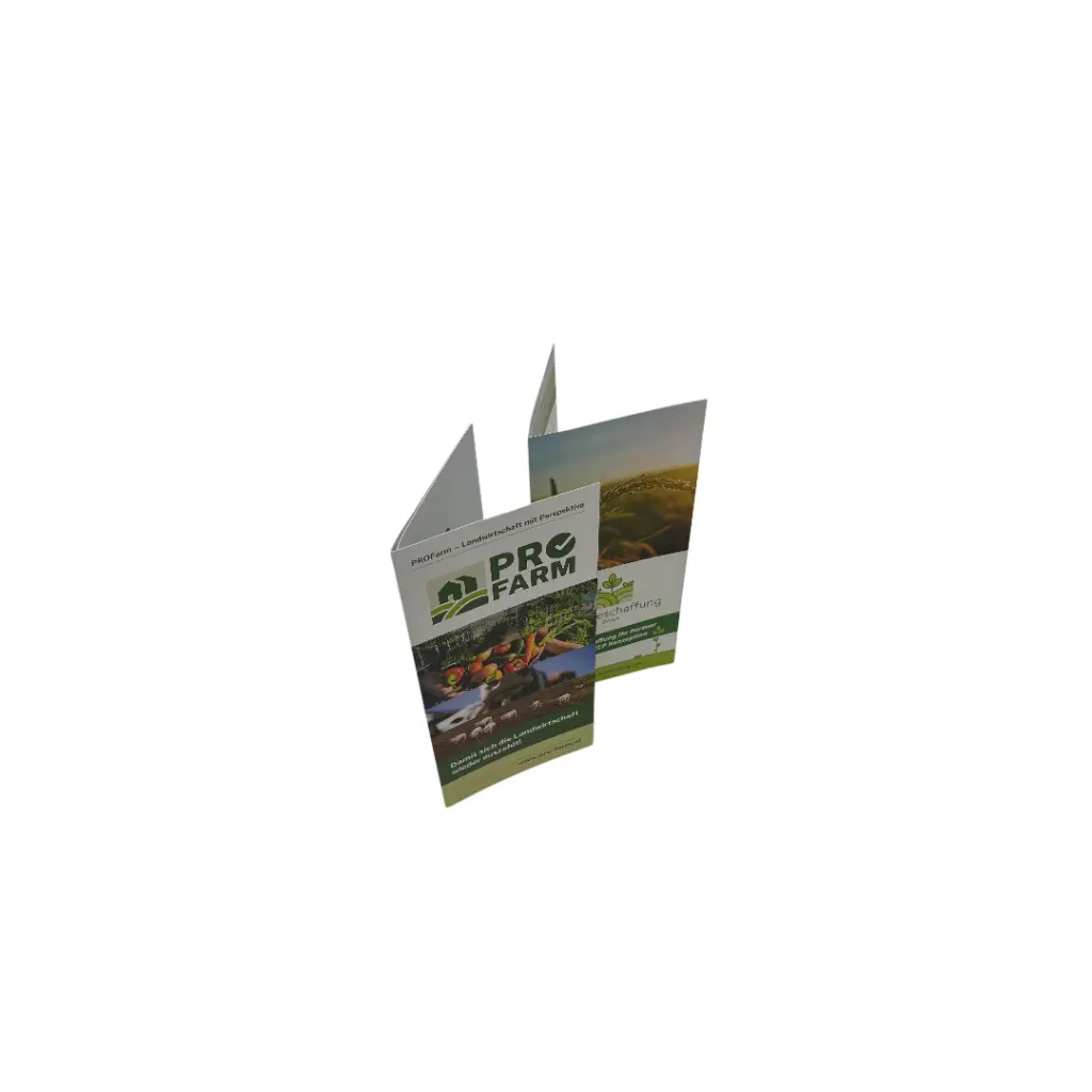 5.webp