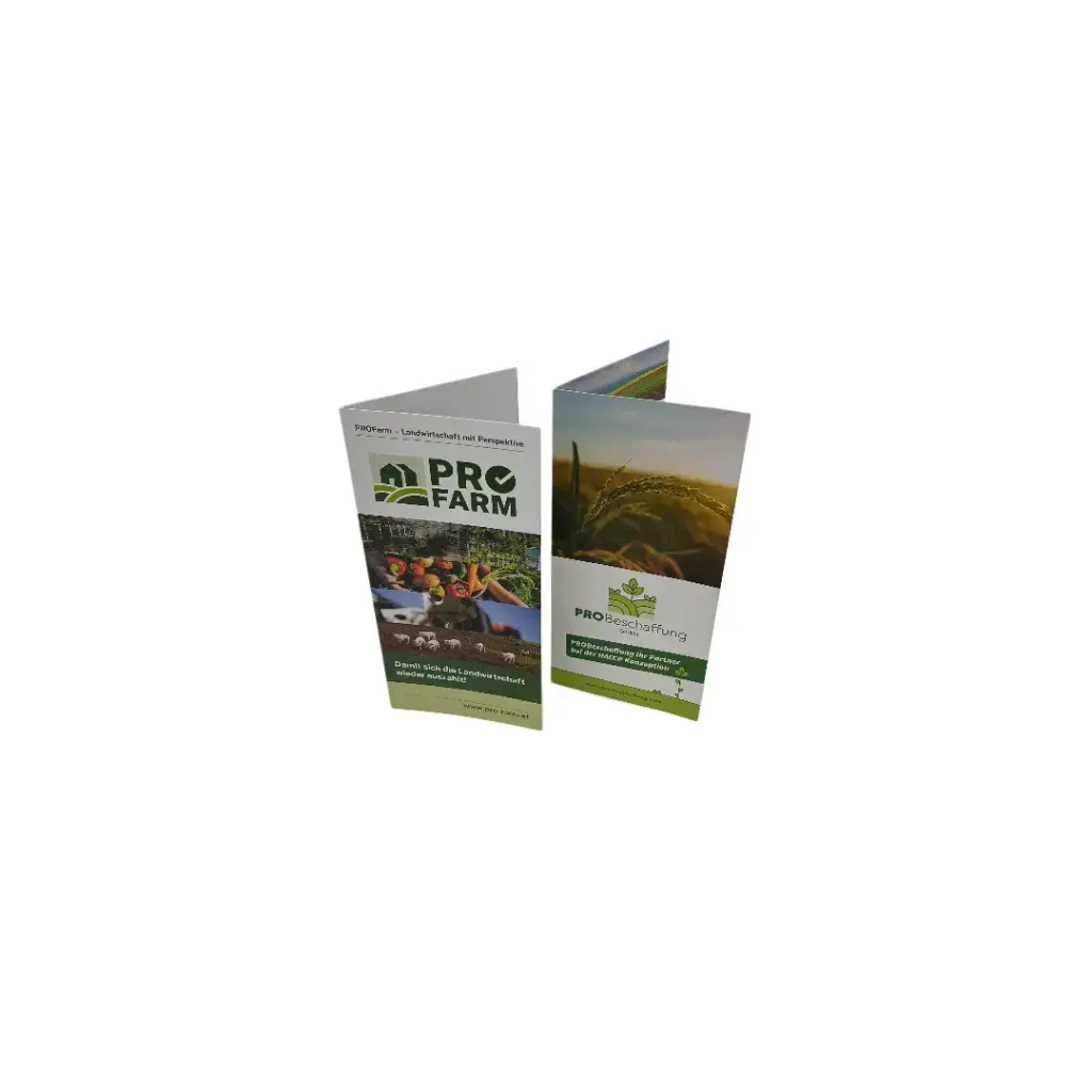 Flyer / DIN lang / 9,8 x 21 cm / 2-seitig bedruckt / 5.000 Stück
