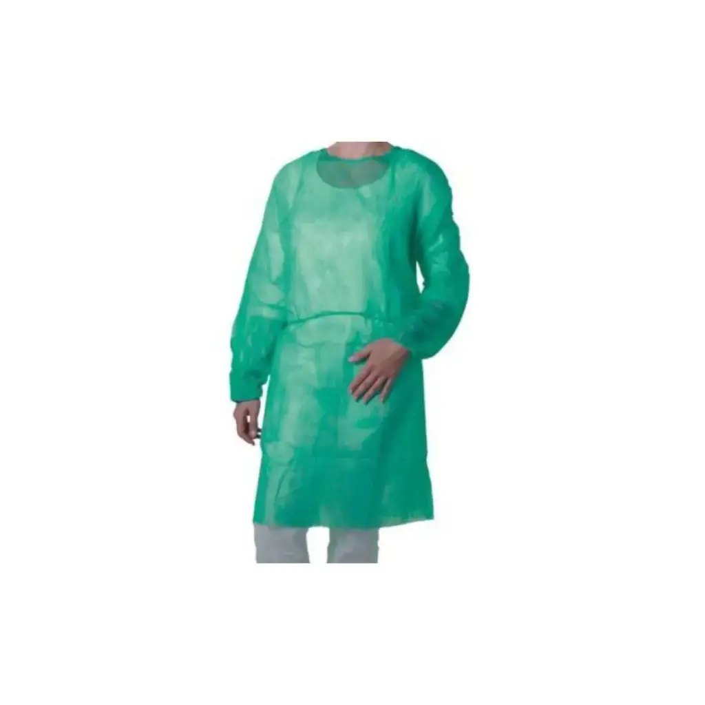 [PROB-22-81] Visitor gown PP with ties, one size green, 1 pack of 100 pieces