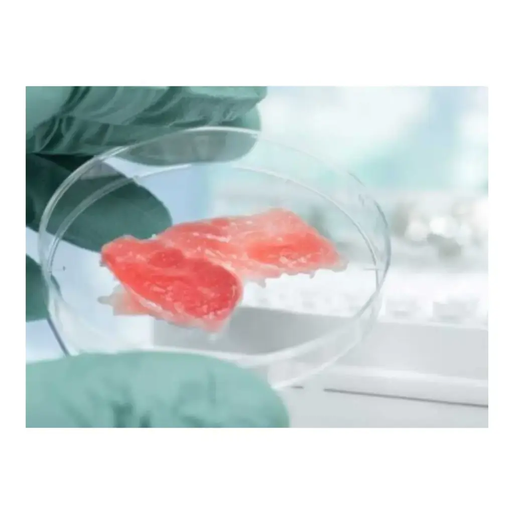 [PROB-10-2] Microbiological examination for food, focus on freshwater fish, whole fish or cuts (including laboratory report)