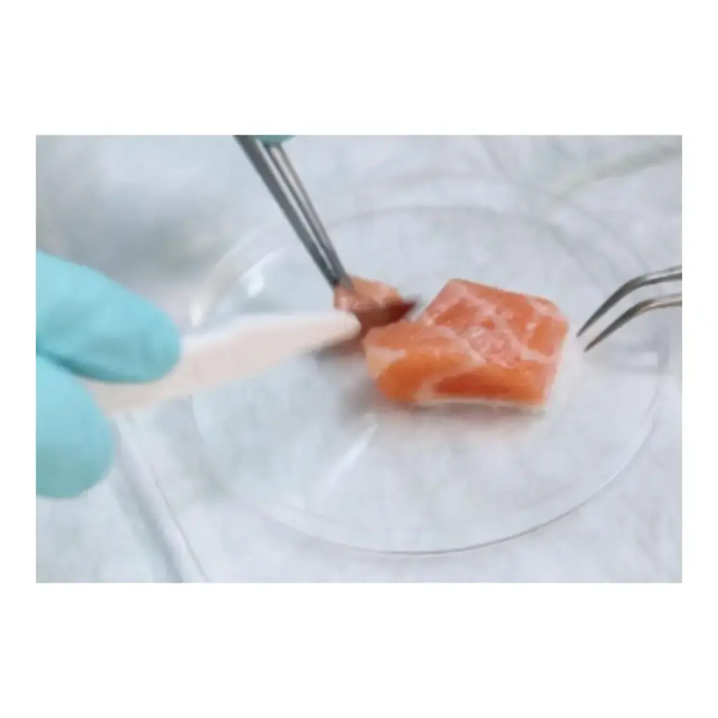 Mikrobiologische Untersuchung für Lebensmittel, Schwerpunkt heißgeräucherte Fische, ganzer Fisch oder Zuschnitte mit und ohne Haut (inkl. Laborbericht)