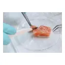 Mikrobiologische Untersuchung für Lebensmittel, Schwerpunkt heißgeräucherte Fische, ganzer Fisch oder Zuschnitte mit und ohne Haut (inkl. Laborbericht)