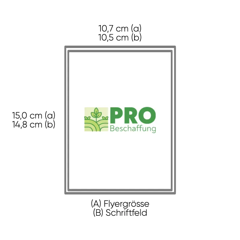 [PROB-17-128] Flyer/Information Folder single-sided, printed, A6 (10.5 x 14.8 cm)