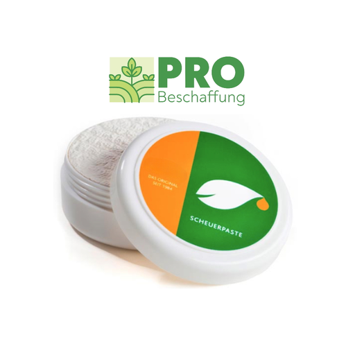[PB43-18] Cleaning stone for chrome steel / 250 g