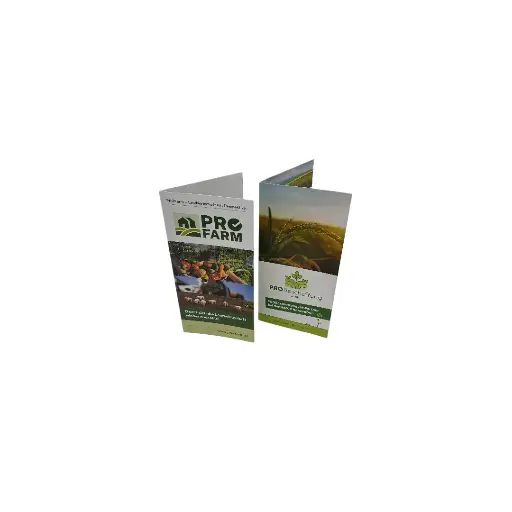 [PB25-85] Flyer / DIN lang / 9,8 x 21 cm / 2-seitig bedruckt / 5.000 Stück