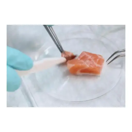[PB9-3] Mikrobiologische Überprüfung / Lebensmittel / Schwerpunkt heißgeräucherte Fische (ganzer Fisch, Zuschnitte mit und ohne Haut) / inkl. Laborbericht 
