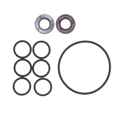 [PROB-1-54] Fillogy - Dichtungsset für Pumpenkopf S-Chem. Material: FKM (Viton).